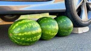 Car Vs Watermelon Crushing Crunchy & Soft Things by Car! EXPERIMENT ASMR