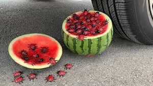 Experiment Car vs Watermelon vs Insect and Bug Toy | Crushing Crunchy & Soft Things by Car _ ASMR.