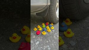 Car vs Rubber Ducks #shorts