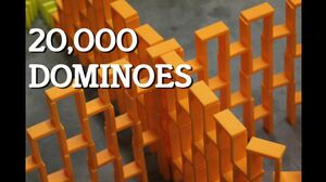20,000 Dominoes!!! - Hevesh5 and Petmagnetetal!