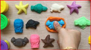Playdoh creations animals - Đồ chơi đất nặn tạo hình các con vật, cua, rùa, sư tử... (Chim Xinh)