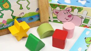 Wooden Puzzle and Shape Sorting Box Educational Toy