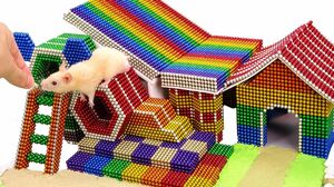 Magnetic Ball - DIY How To Build Mini House For Hamster With Magnetic Balls - Surprise Balls