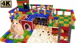 Magnetic Ball - DIY How To Build Amazing House For Hamster With Magnetic Balls - Surprise Balls
