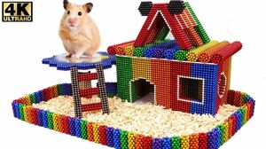 Magnetic Ball - DIY How To Build Amazing House For Hamster With Magnetic Balls - Surprise Balls