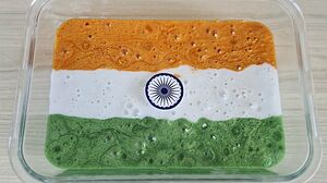 INDIA FLAG SLIME | Mixing makeup into Clear Slime | Satisfying Slime Videos 1080p