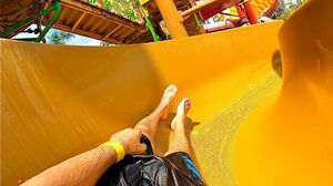 Dino Water Park | Brown Body Water Slide