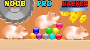 NOOB vs PRO vs HACKER - Hamster Maze